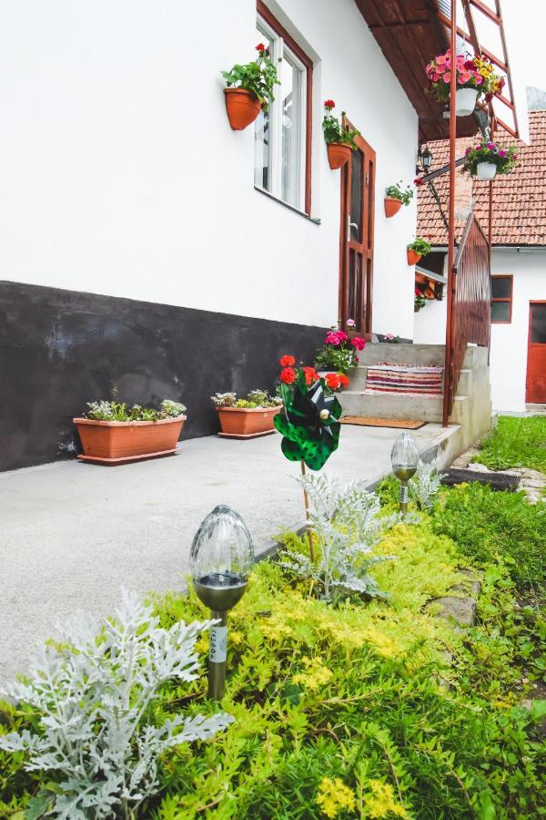 Casa De Vacanta Harsfa Vendeghaz 리메테아 외부 사진